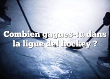 Combien gagnes-tu dans la ligue del hockey ?